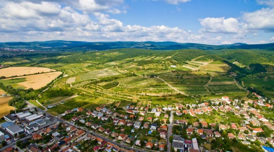 Spoznajte slovenské vinohradnícke oblasti