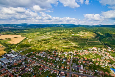 Spoznajte slovenské vinohradnícke oblasti