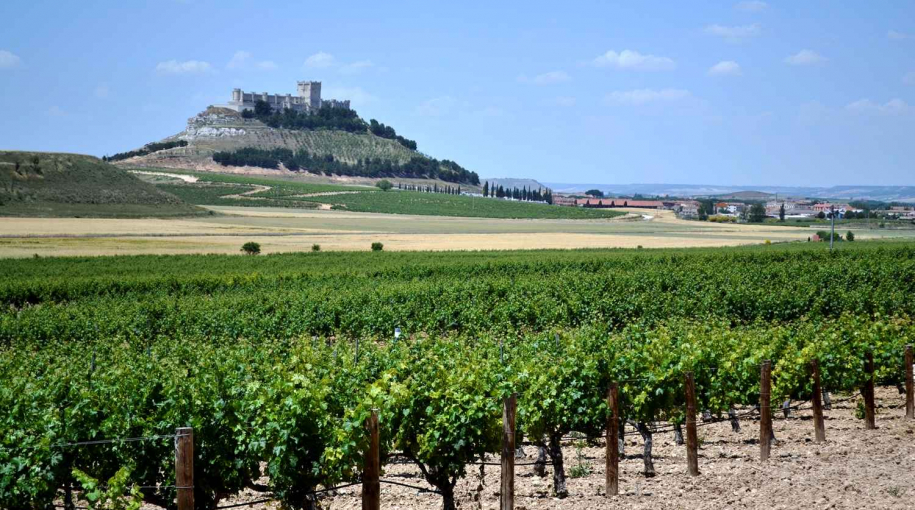 Výnimočný vinársky región Španielska - Ribera del Duero
