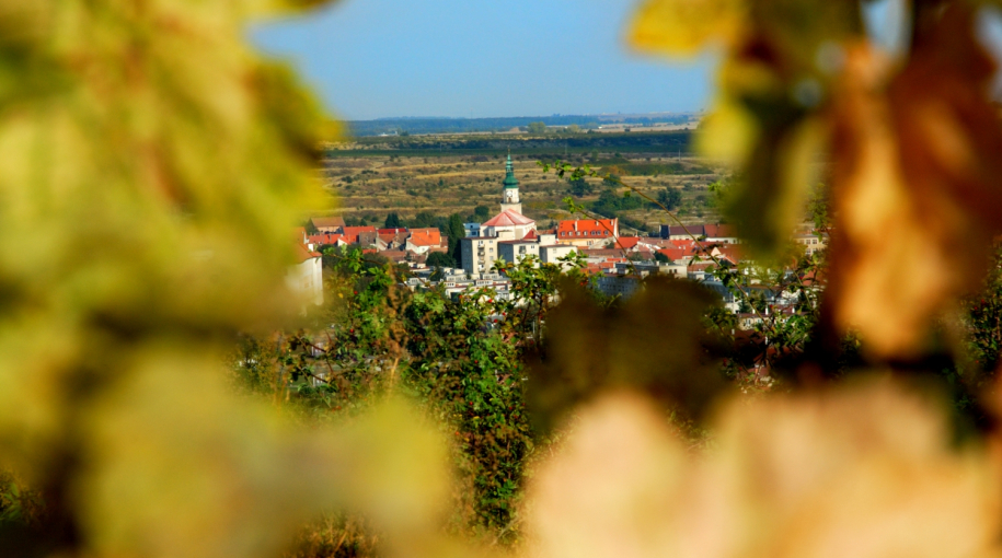 Vinárstvo Chateau Modra – víno z vlastných viníc